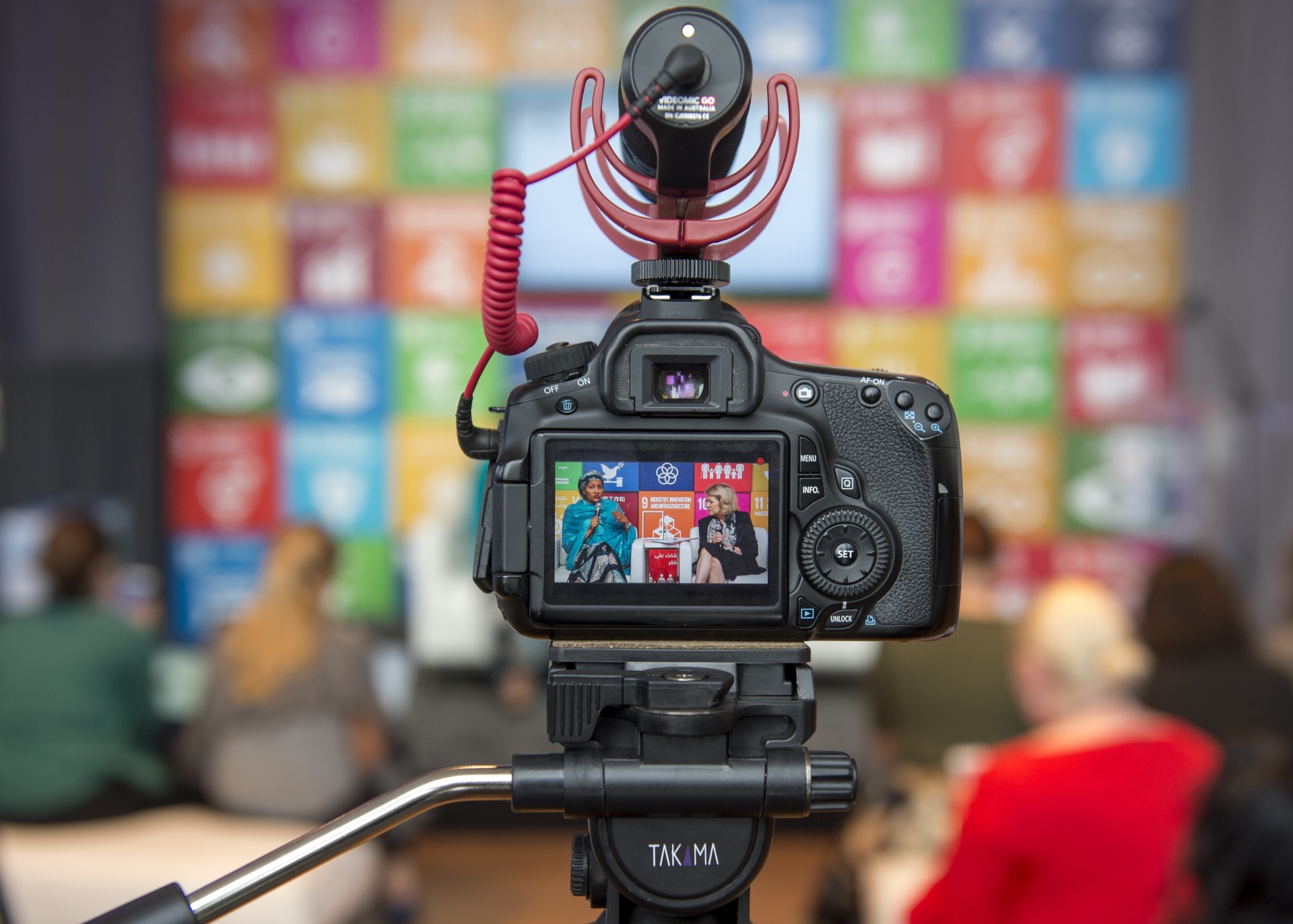 Bærekraftsrapportering med harelabb