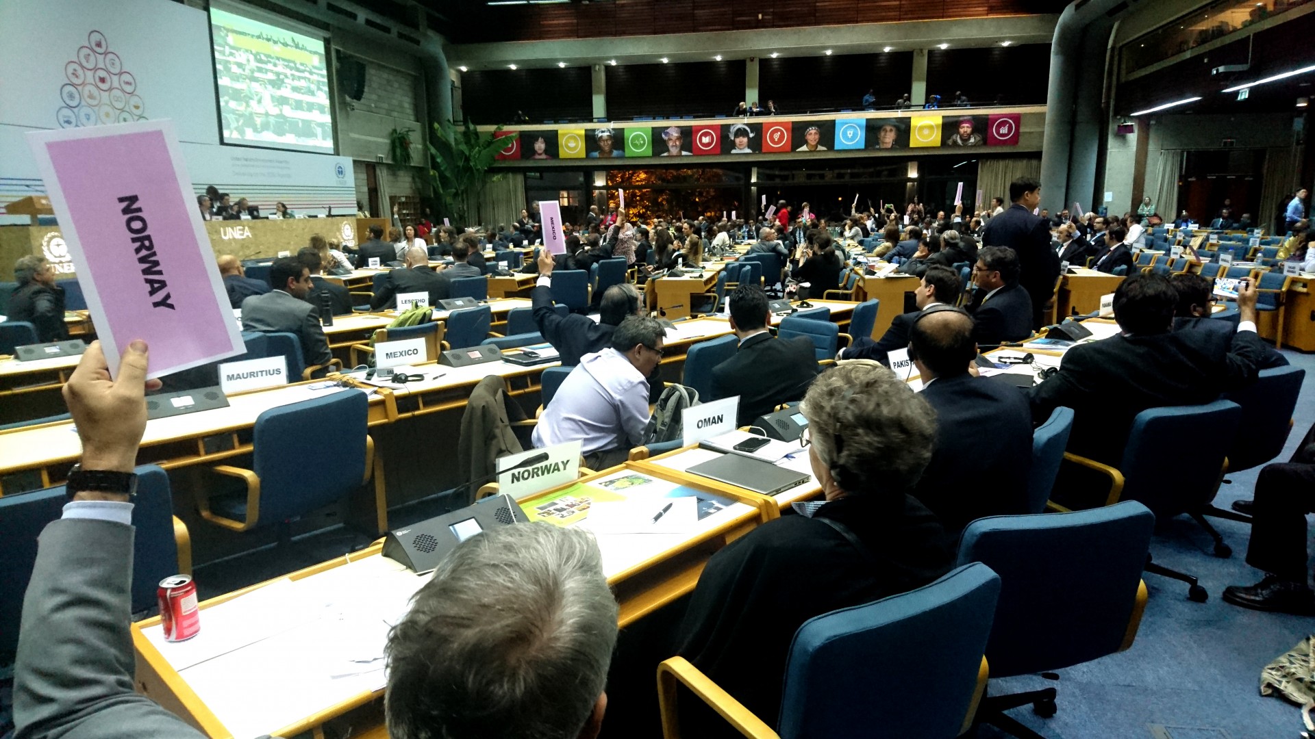 UNEA styrker det globale miljøarbeidet