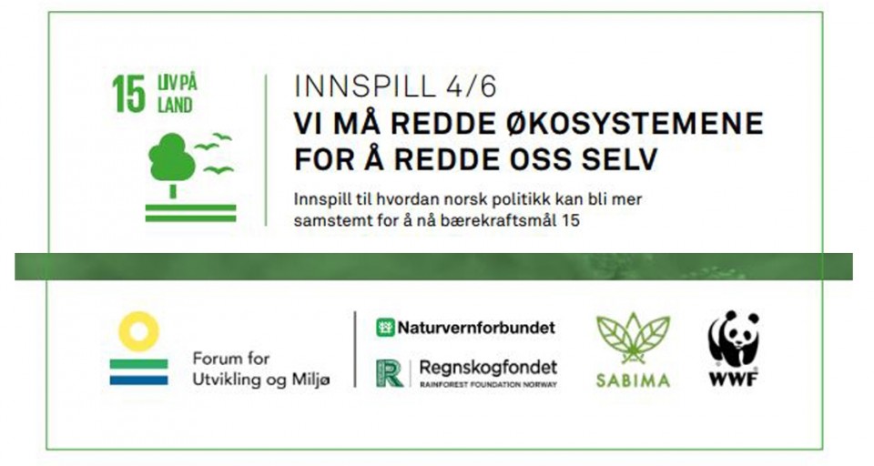 Innspill 4/6: Vi må redde økosystemene for å redde oss selv