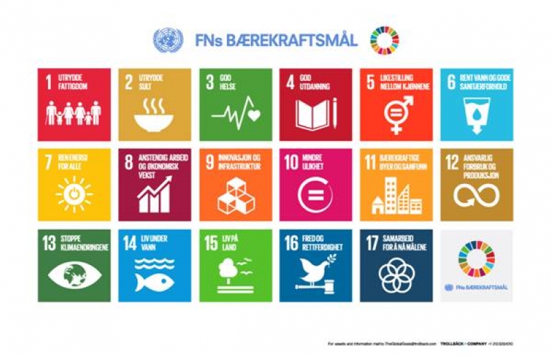 Høyre vil lage SDG-plan