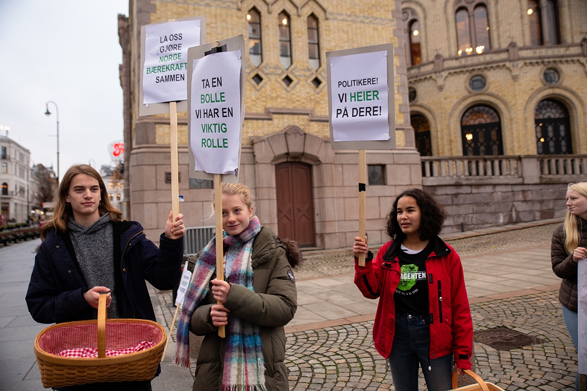 boller-for-bærekraft-lite.jpg#asset:5986