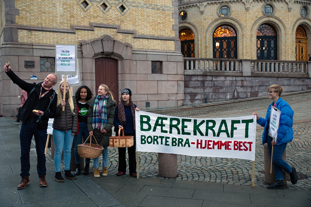 haltbrekken-b%C3%A6rekraftbolle-lite.jpg#asset:5985