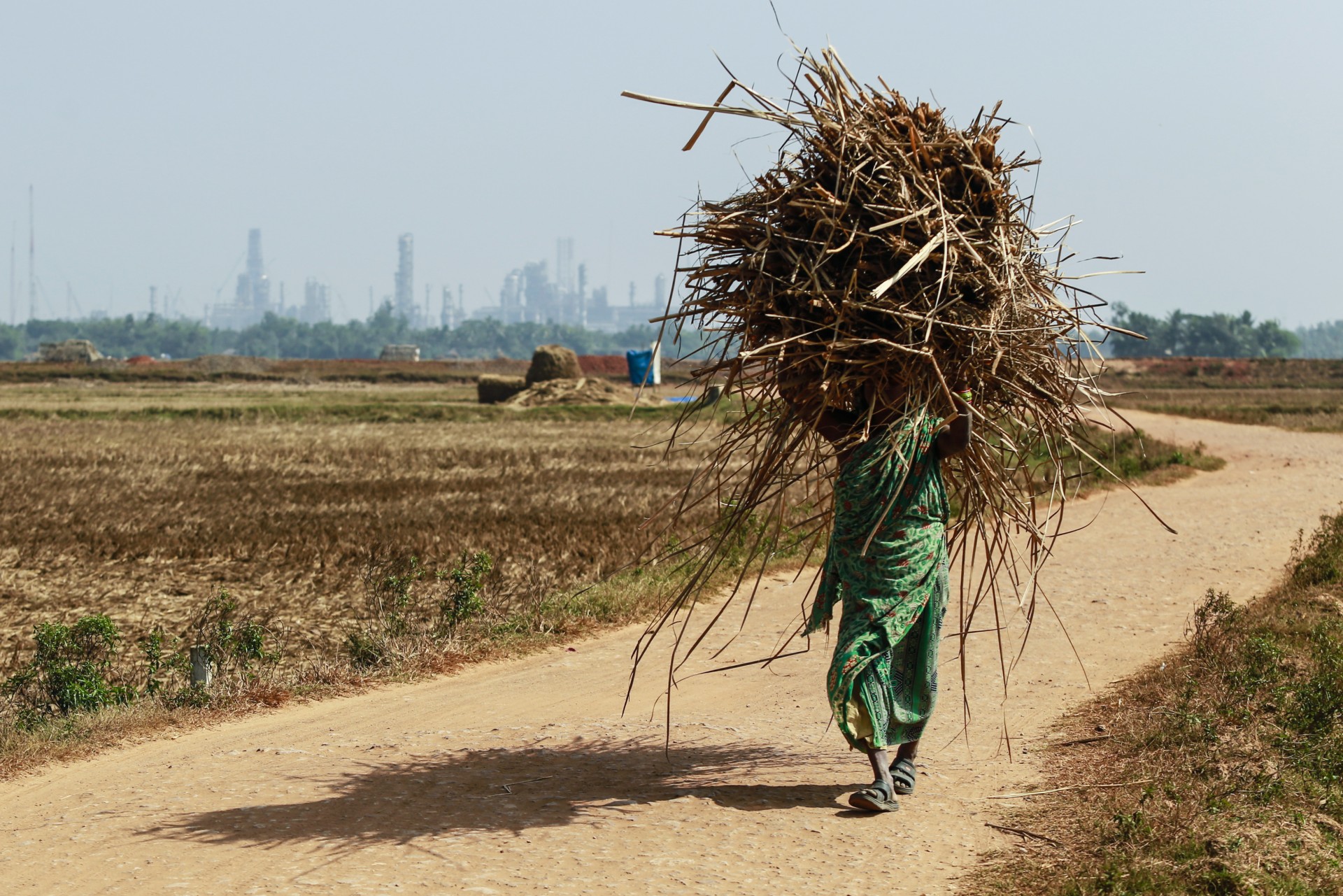 A woman Carries a bundle of dried grass along a road through which a proposed Railway will pass through Dhinkia, Odisha, India, on Sunday, Jan 19, 2014. POSCO may soon start Construction on a steel complex in the area.
Foto: Prashanth Vishwanathan/Bloomberg via Getty Images