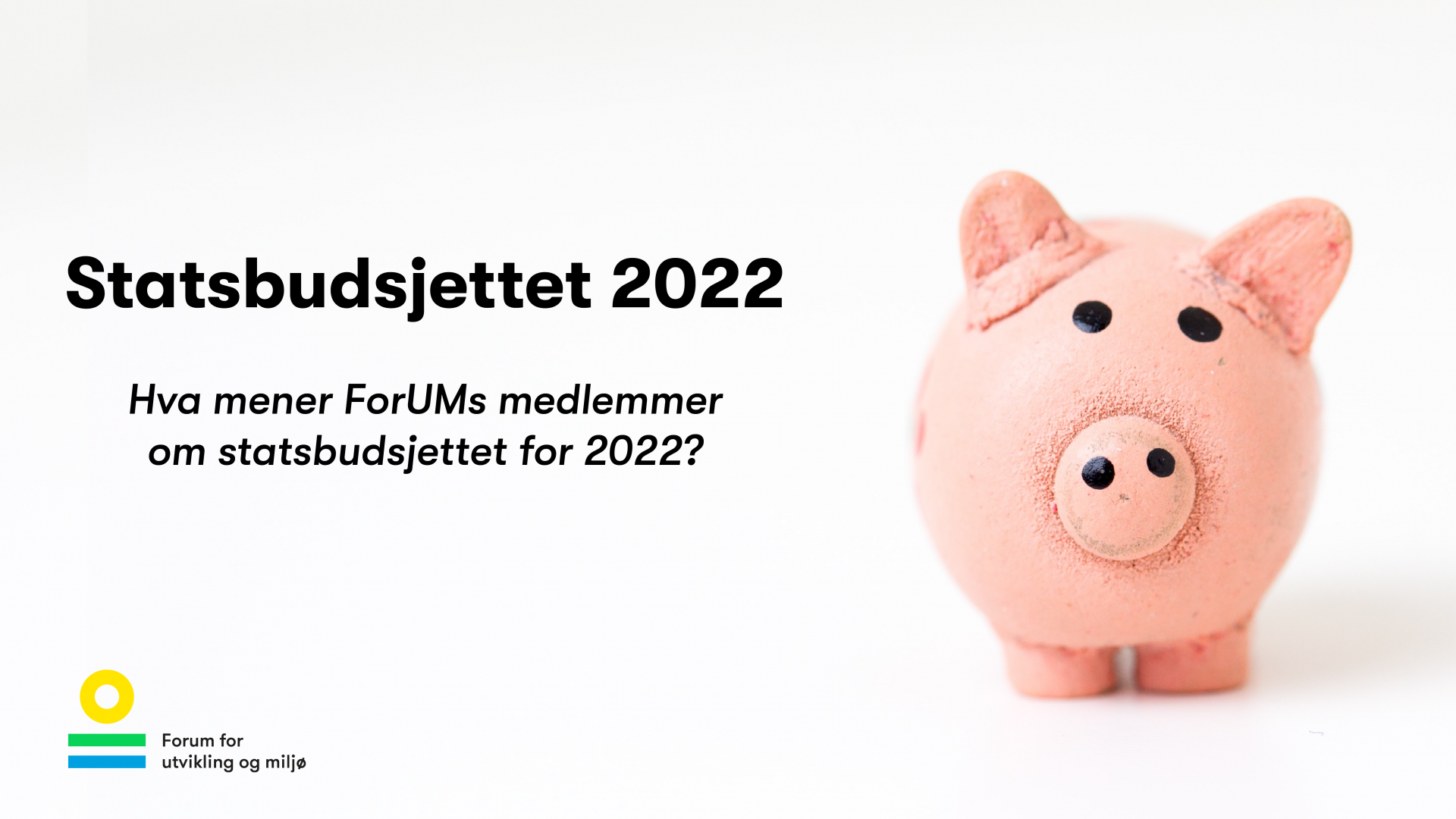 Hva mener ForUMs medlemmer om statsbudsjettet for 2022?