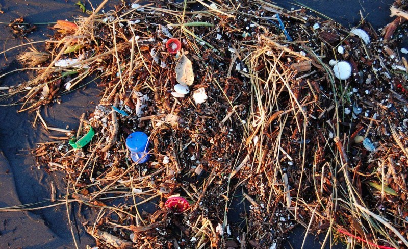 Nullvisjon for marin forsøpling og en styrket FNs miljøforsamling