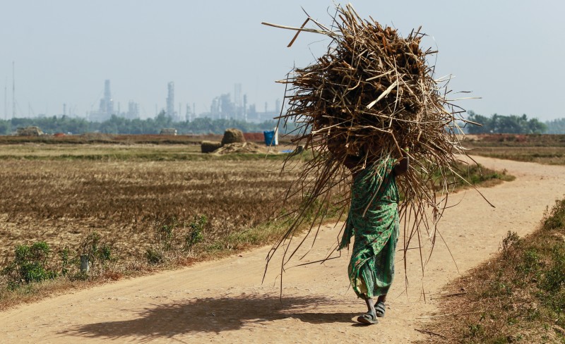 A woman Carries a bundle of dried grass along a road through which a proposed Railway will pass through Dhinkia, Odisha, India, on Sunday, Jan 19, 2014. POSCO may soon start Construction on a steel complex in the area.
Foto: Prashanth Vishwanathan/Bloomberg via Getty Images