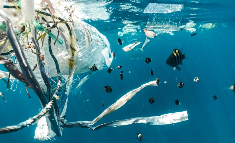 A global solution to plastic pollution?
