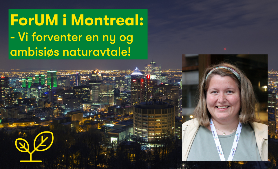 ForUM i Montreal: - Vi forventer en ny og ambisiøs naturavtale